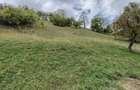 Valea Rumanestilor, str. Rujoi, Campulung, judetul Arges - 1