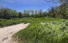 Teren Olimp Investitie Zona In Dezvoltare - 5