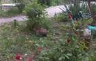 vand schimb ap 2 camere