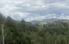 Teren cu panoramic Poiana Marului - 9