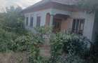 Casa de vanzare in Galicea Mare Dolj - 4