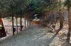 Cabana A-Frame , zona Bran - 2