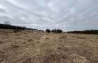 Teren intravilan pentru constructii de vanzare in Feleacu