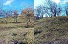 Teren cota parte 1/2, Sat Vistieru, ID: R2809860 - 10