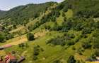 FILM! 1.450 mp intravilan, la DN, incantare peisagistica, Bran, Moieciu, Brasov - 16
