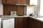 Apartament Studio str Dr Victor Babes chiar langa Universitate - 1