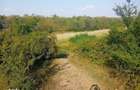 Teren de 15000 mp, în Filipeștii de Pădure - 2