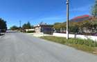 Castelu - Str. Florilor, casa din 2012, teren 737 mp si 106 mp utili