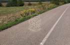 Teren 3500 mp la drum asfaltat-agricultura, investitie-Chintelnic - 3