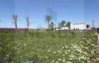 Teren intravilan 375 mp | Ideal casa | Acces rapid Bucuresti - 3