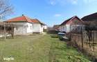 Vand proprietate cu 2 case in Pe?ti?u Mare-Hunedoara, teren 2261mp... - 18