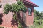 Teren de 1600 mp, în Potoceni - 4