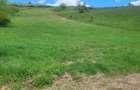 Teren zona com. Sanpaul, jud. Cluj