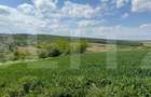 Teren extravilan 6.800 mp Zaicesti Oportunitate investitie - 1