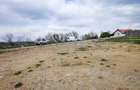 Teren 26500mp investitie dezvoltator imobiliar km 7 Calea Caransebesului 11 euro negociabil - 10