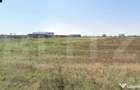 Teren intravilan 3.000 mp avize si autoriza?ie proiect fina - 4