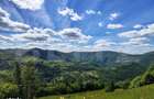 Cabana din lemn masiv, 100 mp utili, teren 3000 mp, Somesu Rece - 8