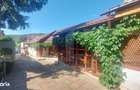 Vila cu teren intravilan, 4.400 mp, Valcele - 19
