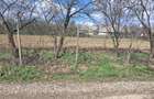 Vand teren intravilan 2800 m2 - Sat Botesti - comuna Horodniceni - jud Suceava. - 5