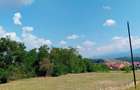 Terenuri de vanzare in Talmaciu, jud. Sibiu, zona rezidentiala Armeni 2, la 16 km de Sibiu - 3