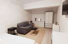 Persoana fizica apartament 1 camera Evergreen Towers Tatarasi - 4