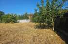 De Vanzare - Teren Intravilan 463mp Cazasu, Str.Cimbrisorului - 3
