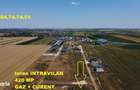 Teren INTRAVILAN cu gaz si curent - com Berceni - 3