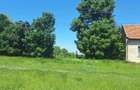 🏡 TEREN INTRAVILAN DE VÂNZARE – CHEVEREȘU MARE 🌳 - 1