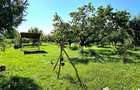 casa 3 camere Viile Satu Mare - 13