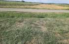 Teren intravilan 2600 mp cu toate utilitatile la strada Babeni Valcea - 5