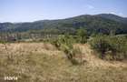 Comision0%Teren recreational 4200mp Vulcan Brasov- curent-asfalt - 11