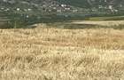 Vand teren extravilan 11600 m2In Cluj Campenesti - 1