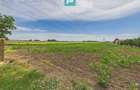 Teren extravilan 5000 mp, Arad