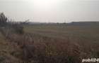 Vand inchiriez intravilan Golesti,la 3 km de Focsani, 23 m deschidere DN2 E85,17euro mp - 5
