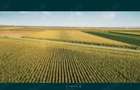 Vand 5 hectare teren arabil extravilan Ohaba Forgaci - 3