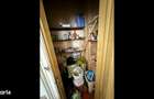 Apartament in Vila l Strada Petru Rares - 2