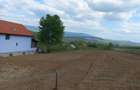 Teren de 1000 mp, în Nord-Vest - 6