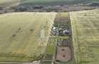 Farmhouse la 14km de Timisoara, teren agricol 1ha - 5