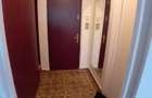 Proprietar inchiriez apartament cu doua camere Timisoara - 8