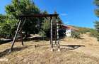 Cabana de vacan?a P+M cu 1.941 mp teren Gura Raului, Marajdie - 10