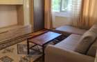 Apartament chirie 2 camere Timisoara - 2