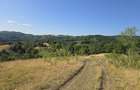 15 Hectare teren la munte ?inutul Padurenilor - 14