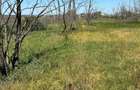 Teren intravilan 5.000 mp DN2/E85 nod A7 vanzare / inchiriere ATR