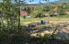 Teren intravilan de vanzare in Sovata langa lacul URSU - 2