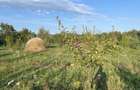 Vand teren intravilan - 3