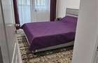Apartament cu doua camere Valea Lupului - 11