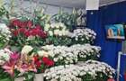 Florarie de vinzare zona Bulevardul Basarabia! Linga McDonald.S - 2