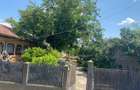 Teren intravilan cu casa Com. Varasti Jud. Giurgiu - 3