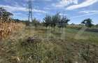 Casa, 70 mp, teren 1700 mp, zona Turcinesti - 8
