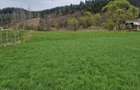 Vindem teren in Vatra Moldovitei - Bucovina - 3